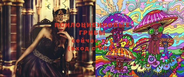 прущая мука Надым