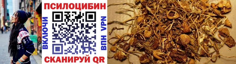 Галлюциногенные грибы Magic Shrooms кракен зеркало Новая Усмань цена наркотик